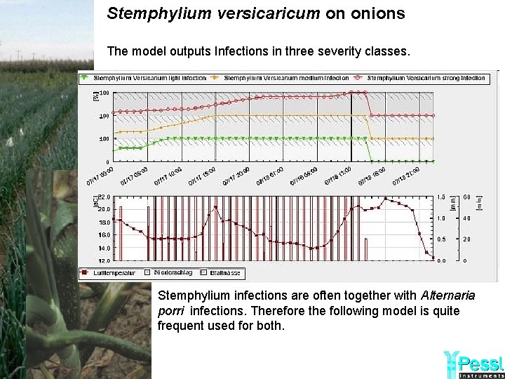 Stemphylium versicaricum on onions The model outputs Infections in three severity classes. Stemphylium infections