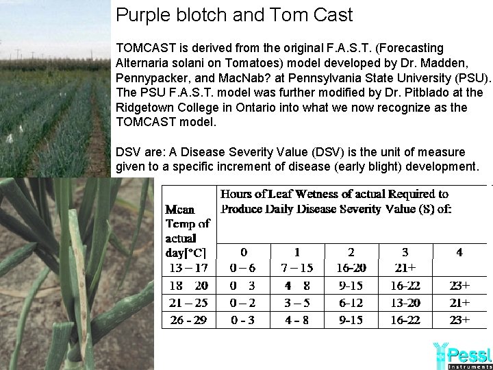 Purple blotch and Tom Cast TOMCAST is derived from the original F. A. S.