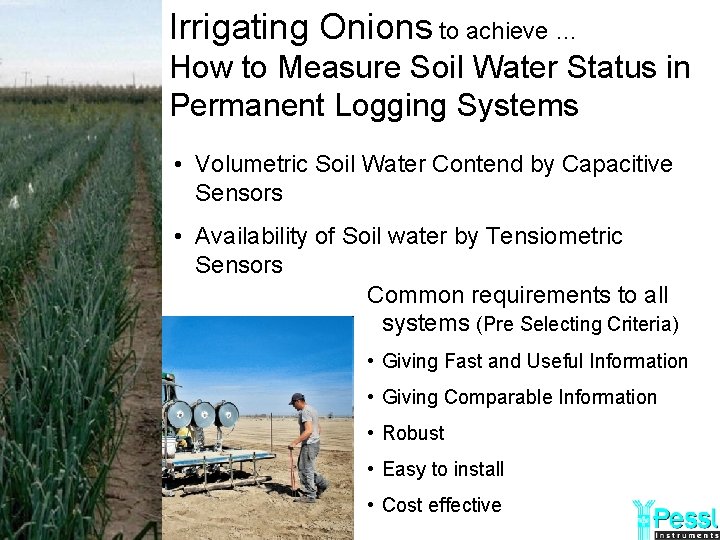 Irrigating Onions to achieve … How to Measure Soil Water Status in Permanent Logging