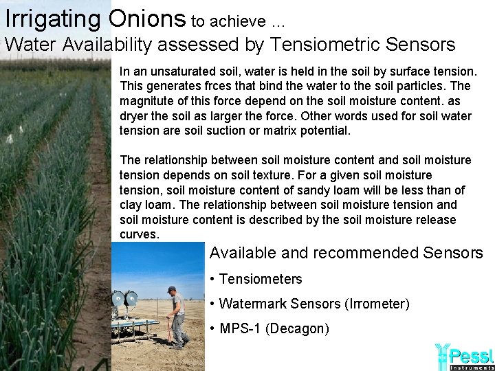 Irrigating Onions to achieve … Water Availability assessed by Tensiometric Sensors In an unsaturated