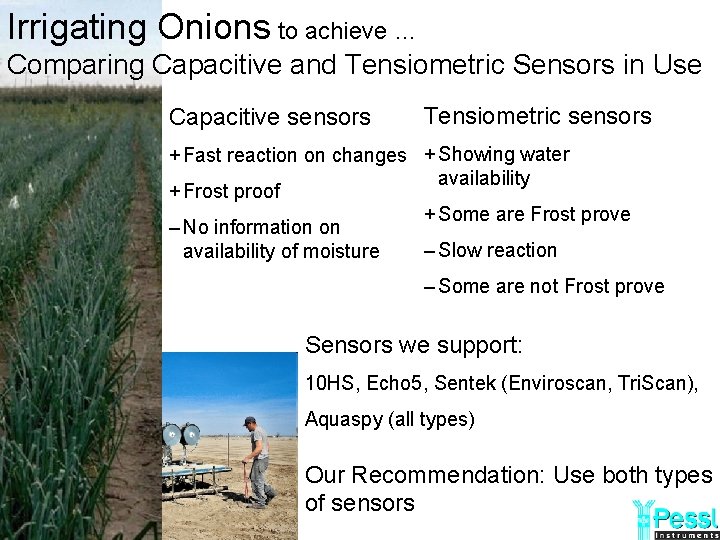 Irrigating Onions to achieve … Comparing Capacitive and Tensiometric Sensors in Use Capacitive sensors