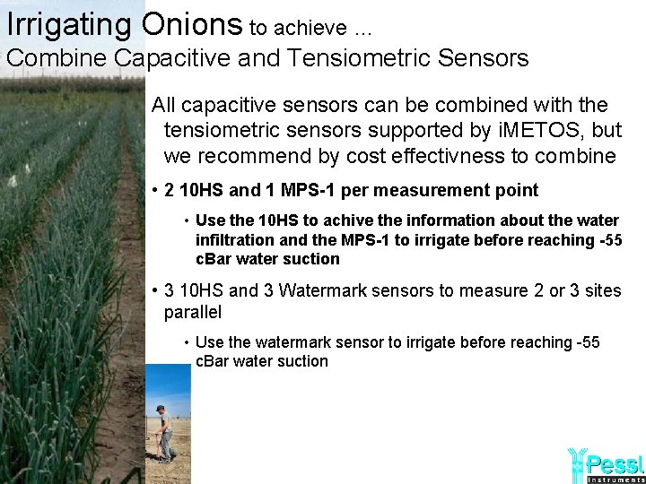 Irrigating Onions to achieve … Combine Capacitive and Tensiometric Sensors All capacitive sensors can