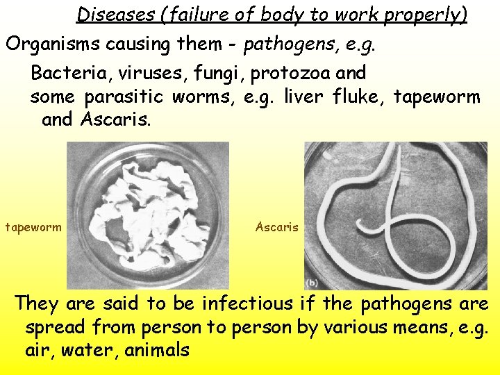 Diseases (failure of body to work properly) Organisms causing them - pathogens, e. g.
