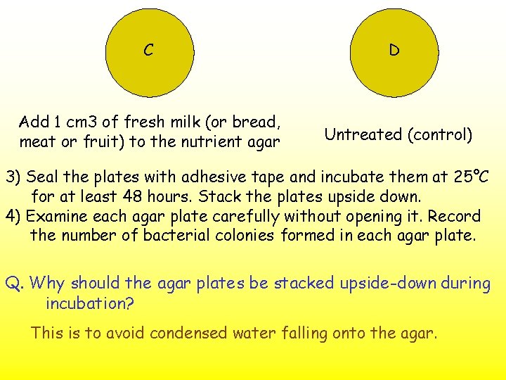 C D Add 1 cm 3 of fresh milk (or bread, meat or fruit)