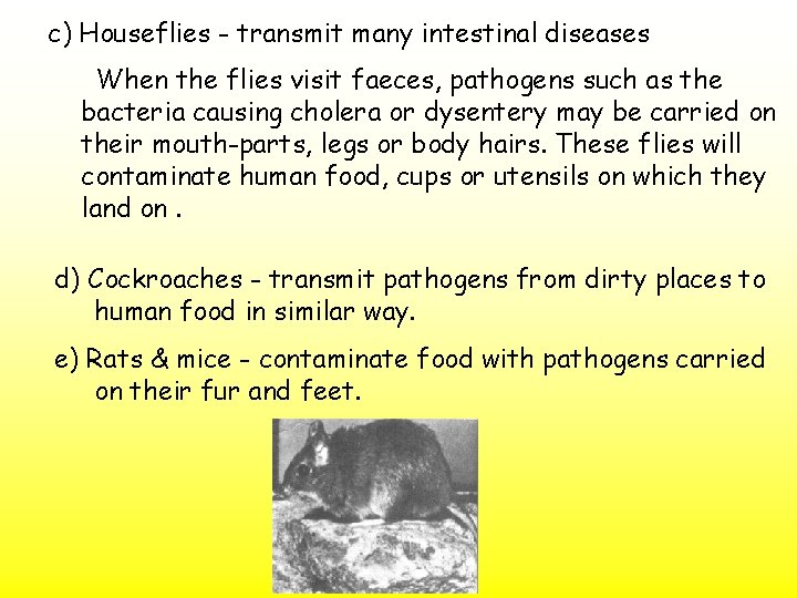 c) Houseflies - transmit many intestinal diseases When the flies visit faeces, pathogens such