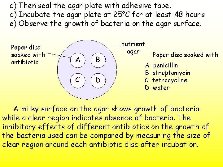 c) Then seal the agar plate with adhesive tape. d) Incubate the agar plate