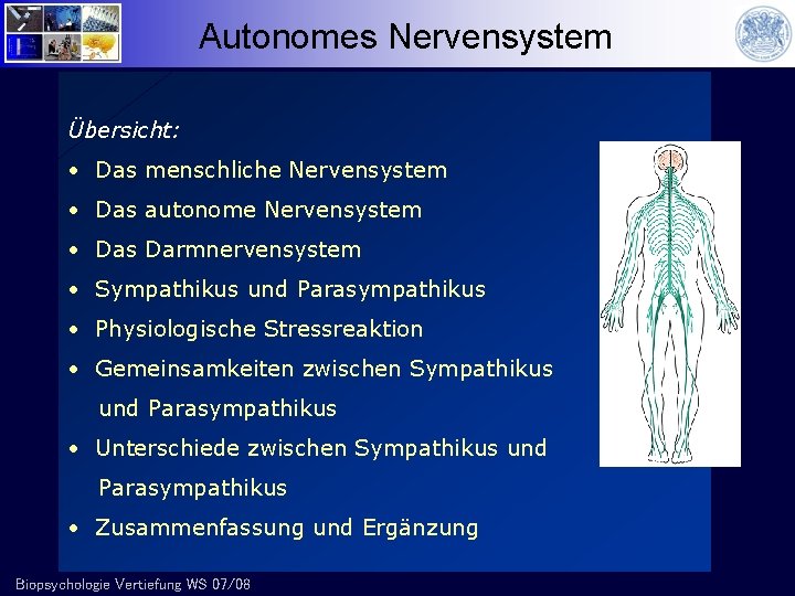Autonomes Nervensystem Übersicht: • Das menschliche Nervensystem • Das autonome Nervensystem • Das Darmnervensystem
