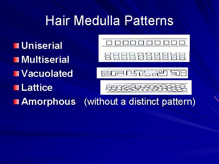 Hair Medulla Patterns Uniserial Multiserial Vacuolated Lattice Amorphous (without a distinct pattern) 