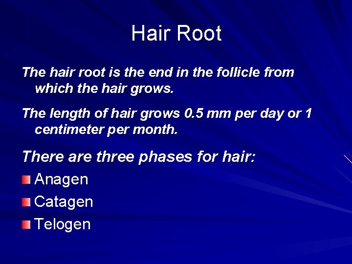 Hair Root The hair root is the end in the follicle from which the