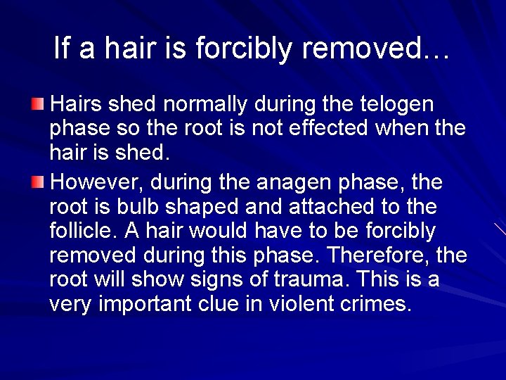 If a hair is forcibly removed… Hairs shed normally during the telogen phase so
