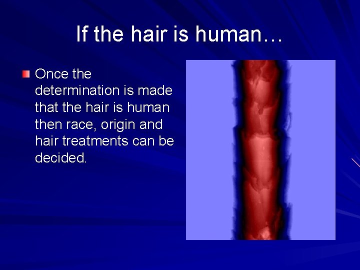 If the hair is human… Once the determination is made that the hair is