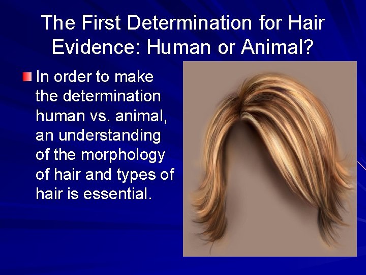 The First Determination for Hair Evidence: Human or Animal? In order to make the