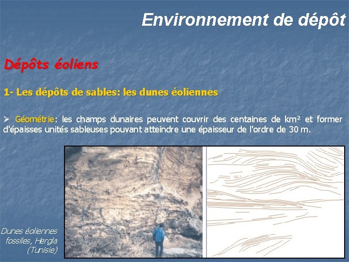 Environnement de dépôt Dépôts éoliens 1 - Les dépôts de sables: les dunes éoliennes