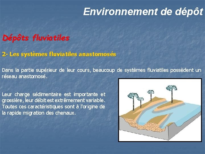 Environnement de dépôt Dépôts fluviatiles 2 - Les systèmes fluviatiles anastomosés Dans la partie