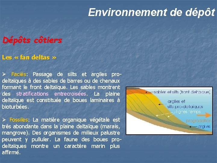 Environnement de dépôt Dépôts côtiers Les « fan deltas » Ø Faciès: Faciès Passage