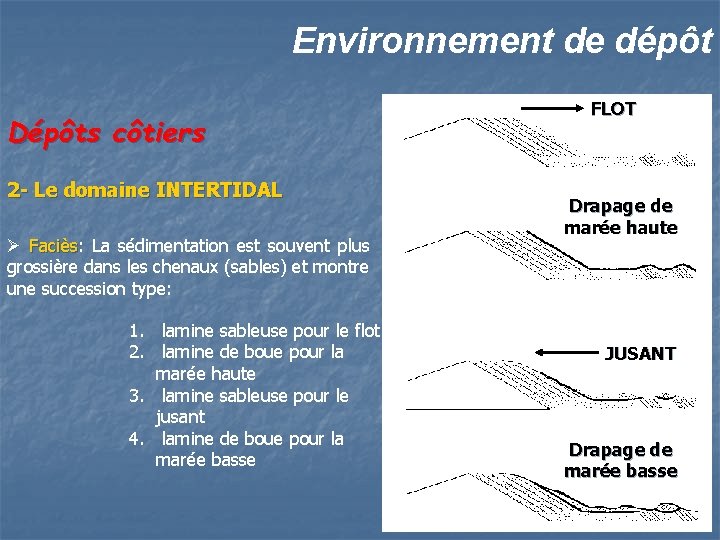 Environnement de dépôt Dépôts côtiers 2 - Le domaine INTERTIDAL Ø Faciès: Faciès La