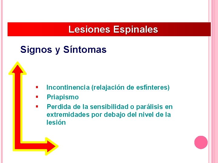 Lesiones Espinales Signos y Síntomas § § § Incontinencia (relajación de esfínteres) Priapismo Perdida