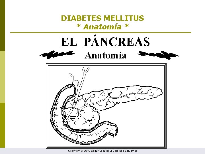 DIABETES MELLITUS * Anatomía * ' EL PANCREAS Anatomía Copyright © 2019 Edgar Lopategui