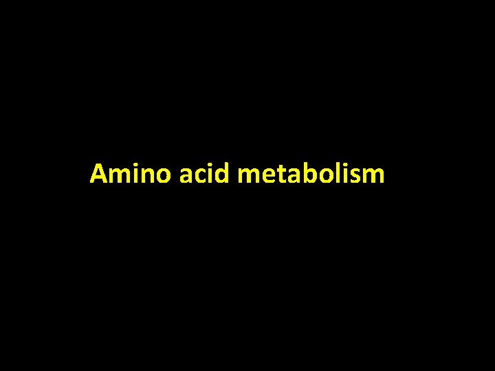  Amino acid metabolism 