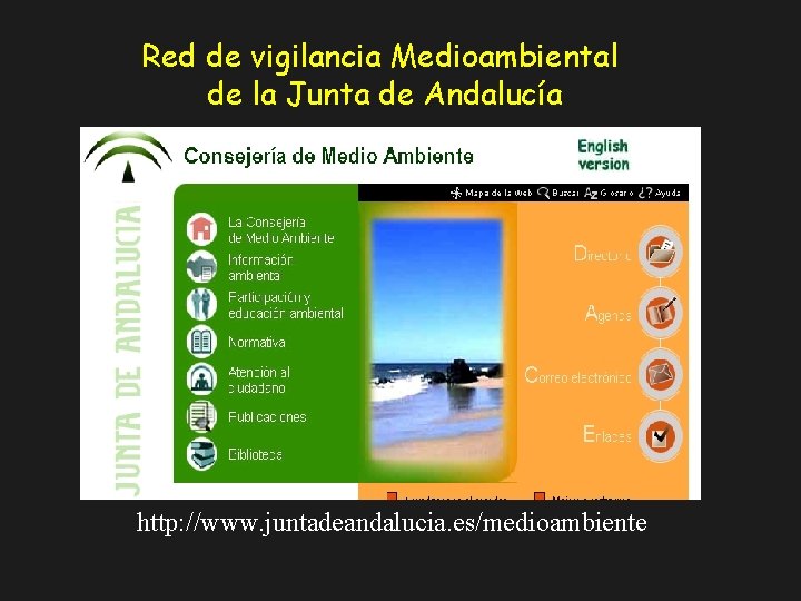 Red de vigilancia Medioambiental de la Junta de Andalucía http: //www. juntadeandalucia. es/medioambiente 
