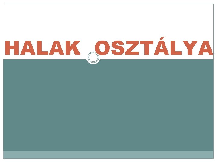 HALAK OSZTÁLYA 