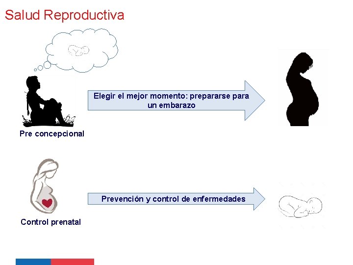 Salud Reproductiva Elegir el mejor momento: prepararse para un embarazo Pre concepcional Prevención y Salud Reproductiva Elegir el mejor momento: prepararse para un embarazo Pre concepcional Prevención y