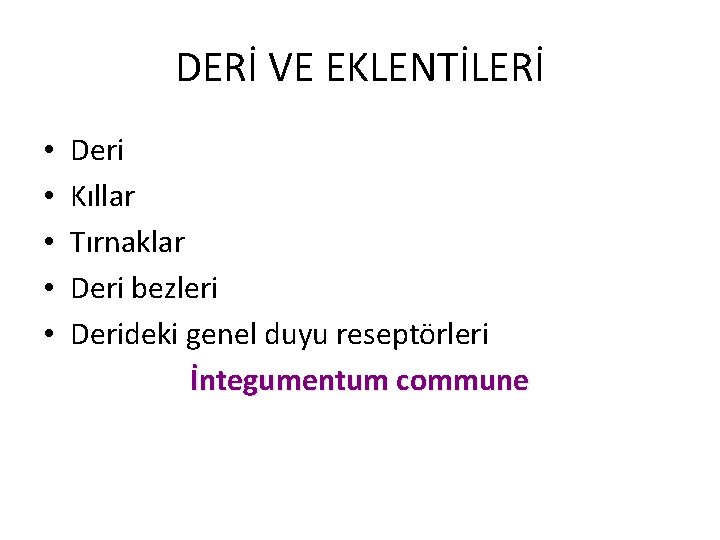 DERİ VE EKLENTİLERİ • • • Deri Kıllar Tırnaklar Deri bezleri Derideki genel duyu