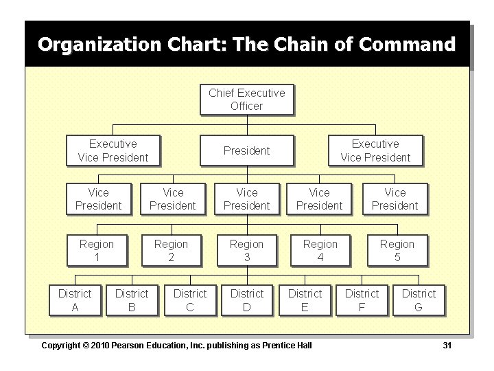 Organization Chart: The Chain of Command Chief Executive Officer Executive Vice President Vice President