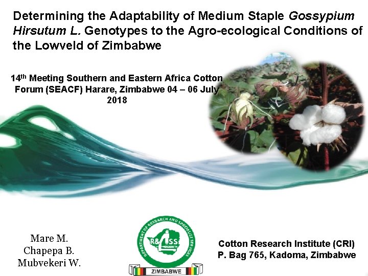 Determining the Adaptability of Medium Staple Gossypium Hirsutum L. Genotypes to the Agro-ecological Conditions