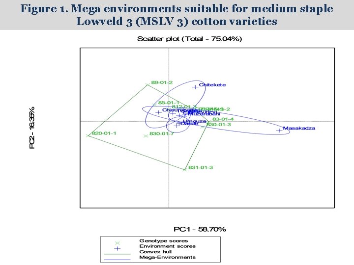 Figure 1. Mega environments suitable for medium staple Lowveld 3 (MSLV 3) cotton varieties