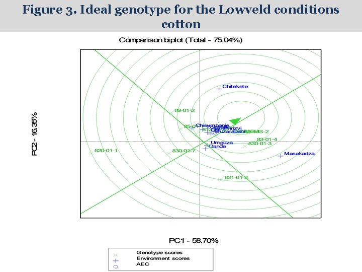 Figure 3. Ideal genotype for the Lowveld conditions cotton 