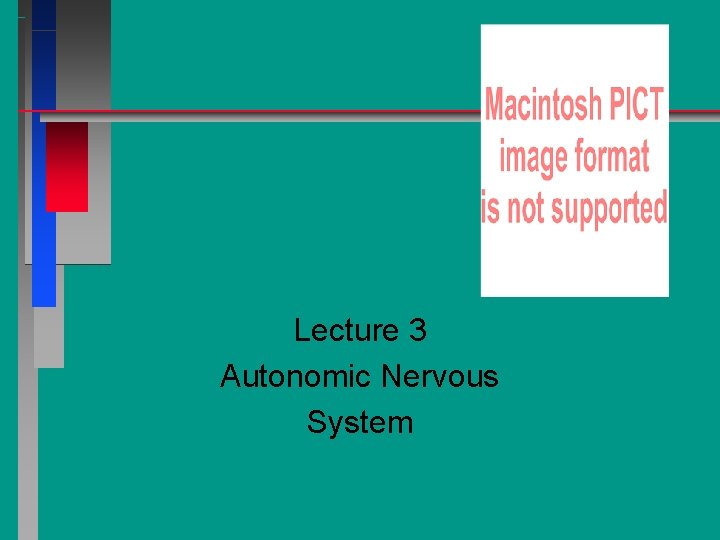 Lecture 3 Autonomic Nervous System 