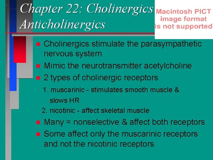 Chapter 22: Cholinergics and Anticholinergics n n n Cholinergics stimulate the parasympathetic nervous system