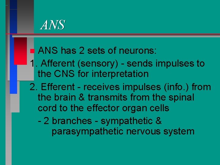ANS has 2 sets of neurons: 1. Afferent (sensory) - sends impulses to the