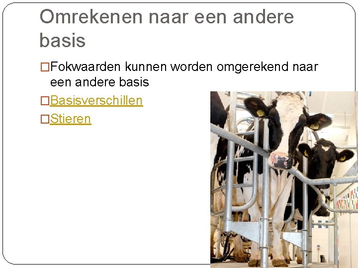 Omrekenen naar een andere basis �Fokwaarden kunnen worden omgerekend naar een andere basis �Basisverschillen