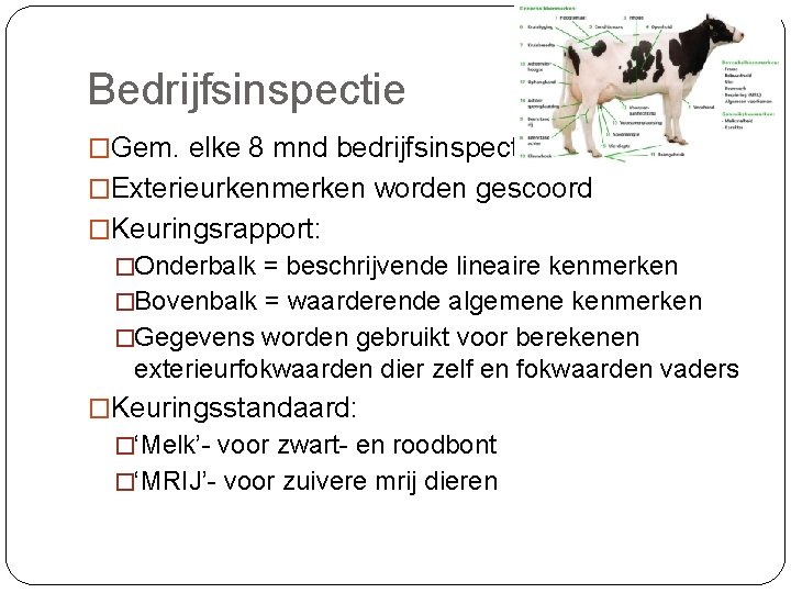 Bedrijfsinspectie �Gem. elke 8 mnd bedrijfsinspecteur �Exterieurkenmerken worden gescoord �Keuringsrapport: �Onderbalk = beschrijvende lineaire