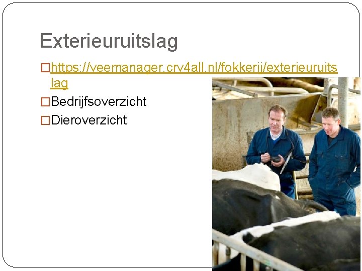 Exterieuruitslag �https: //veemanager. crv 4 all. nl/fokkerij/exterieuruits lag �Bedrijfsoverzicht �Dieroverzicht 