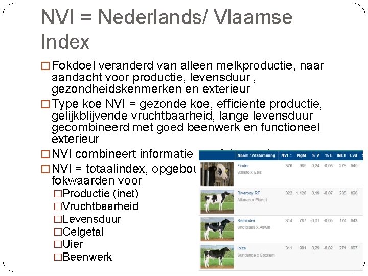 NVI = Nederlands/ Vlaamse Index � Fokdoel veranderd van alleen melkproductie, naar aandacht voor