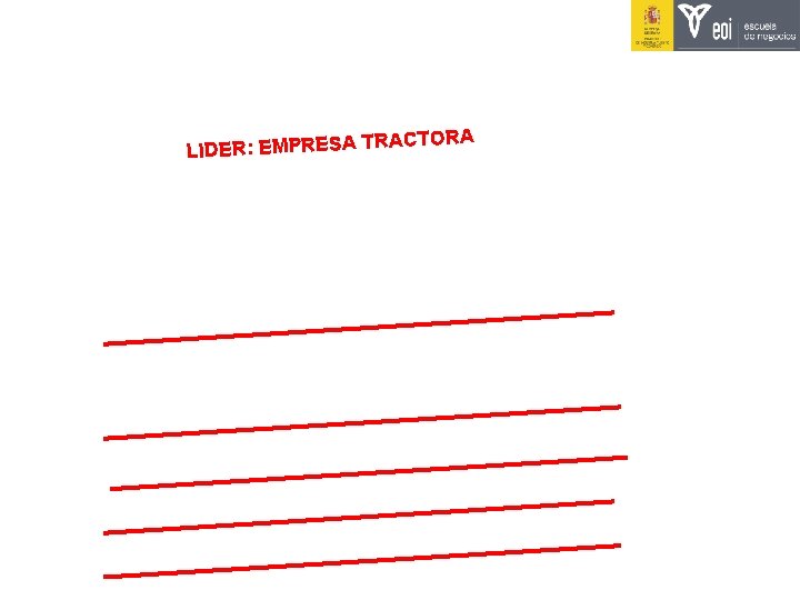 ACTORA LIDER: EMPRESA TR ACTORA LIDER: EMPRESA TR