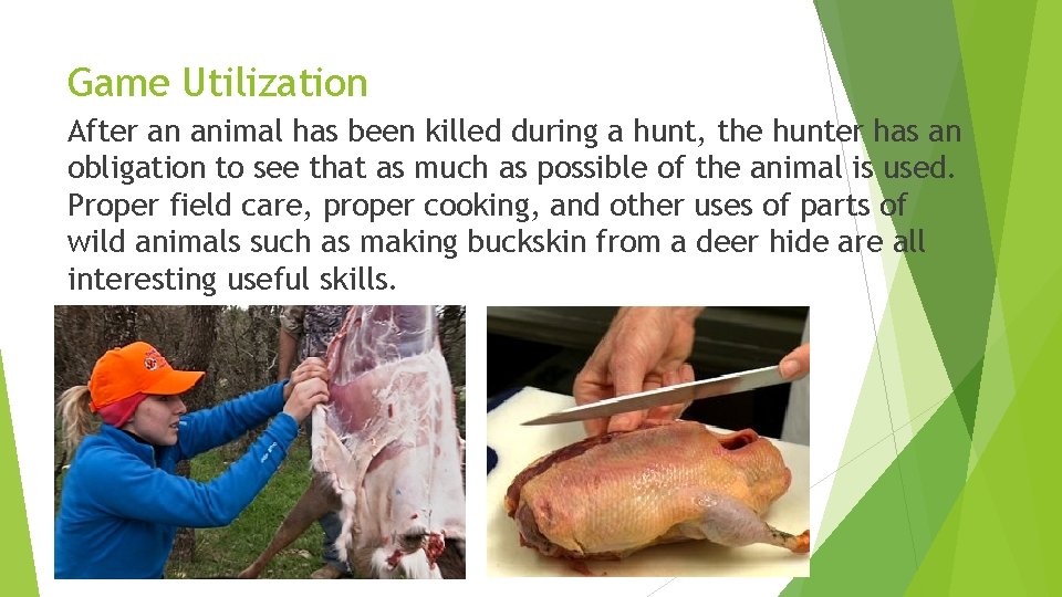 Game Utilization After an animal has been killed during a hunt, the hunter has