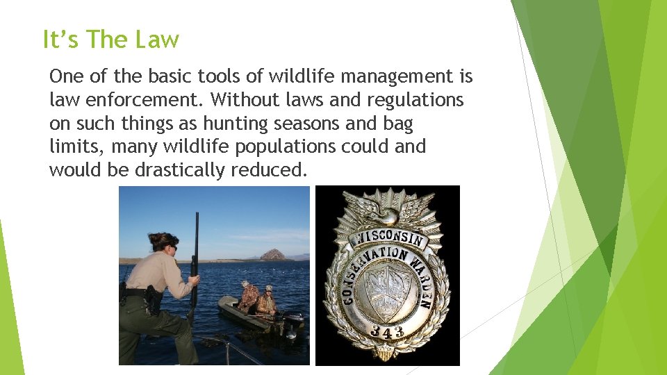 It’s The Law One of the basic tools of wildlife management is law enforcement.