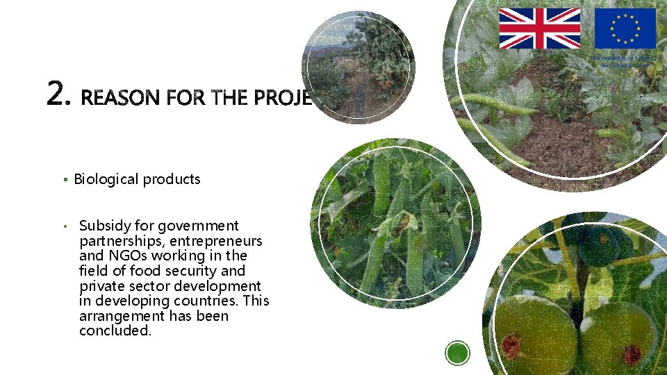 § Biological products • Subsidy for government partnerships, entrepreneurs and NGOs working in the