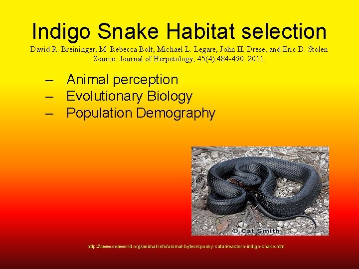 Indigo Snake Habitat selection David R. Breininger, M. Rebecca Bolt, Michael L. Legare, John