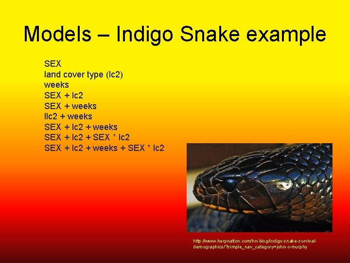 Models – Indigo Snake example SEX land cover type (lc 2) weeks SEX +