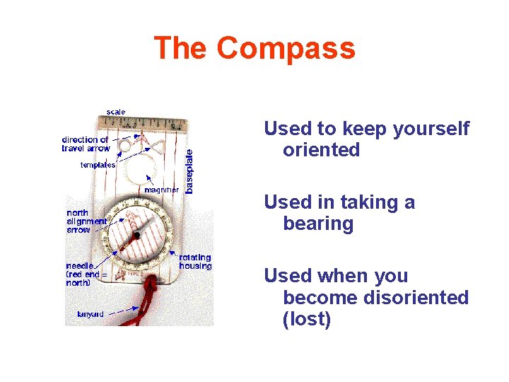 The Compass Used to keep yourself oriented Used in taking a bearing Used when