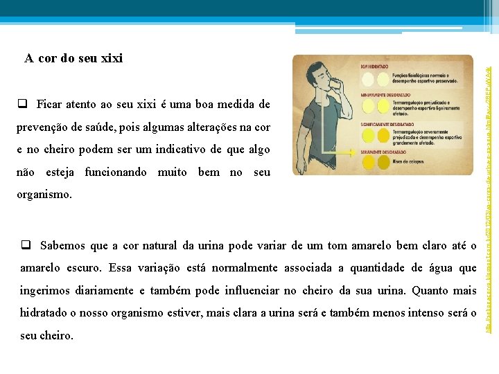 q Ficar atento ao seu xixi é uma boa medida de prevenção de saúde,