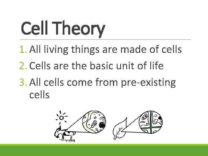 Cell Theory 1. All living things are made of cells 2. Cells are the