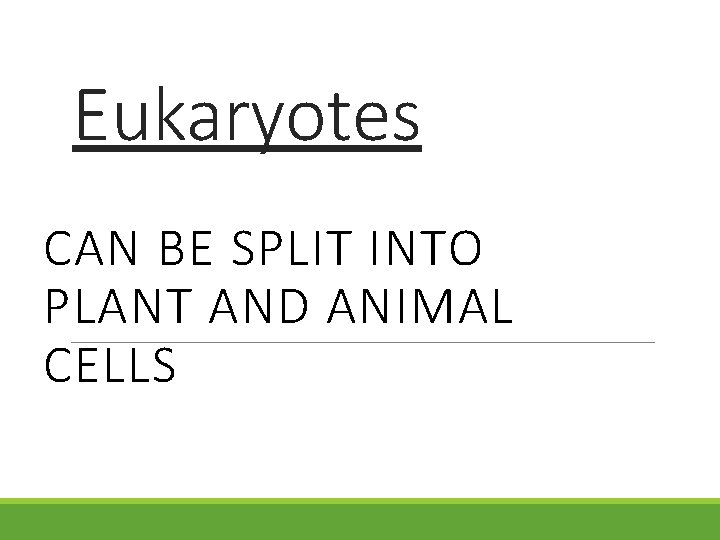 Eukaryotes CAN BE SPLIT INTO PLANT AND ANIMAL CELLS 