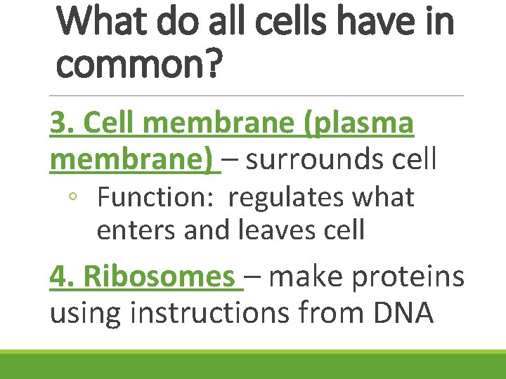 What do all cells have in common? 3. Cell membrane (plasma membrane) – surrounds