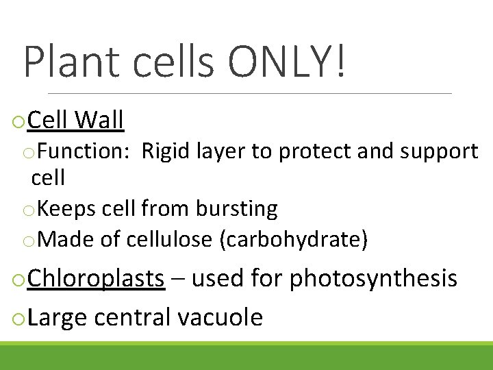 Plant cells ONLY! o. Cell Wall o. Function: Rigid layer to protect and support